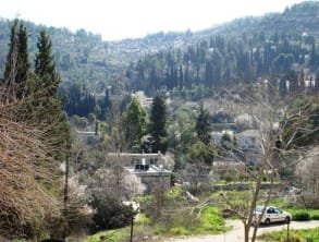 אור%20הכרם%20,%20עין%20כרם